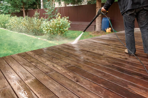 Best Animal Enclosure Cleaning  in Bethany, IL
